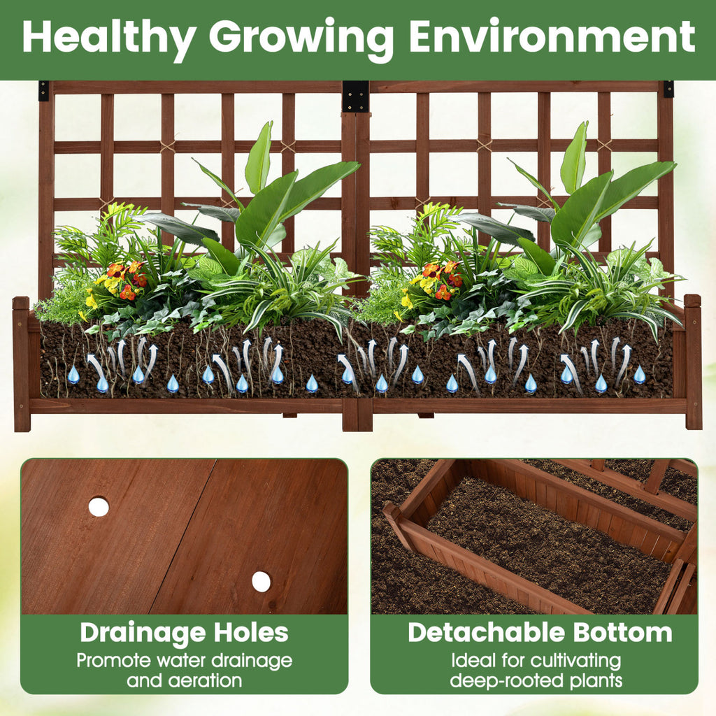 Outdoor Dual Wooden Raised Garden Bed with Trellis and Drainage Holes