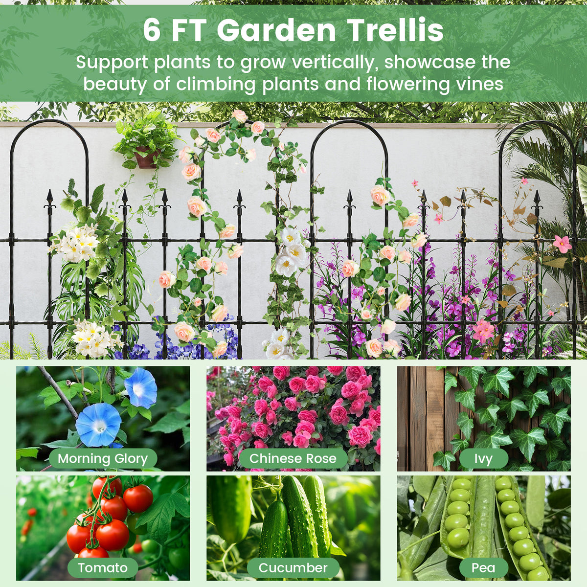 58 x 73 Inch Outdoor Garden Rose Arch Trellis