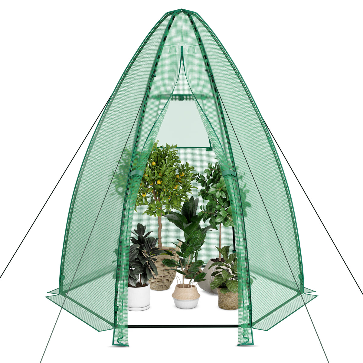 Mini Hexagonal Greenhouse 5.5ft - Portable Garden with PE Cover