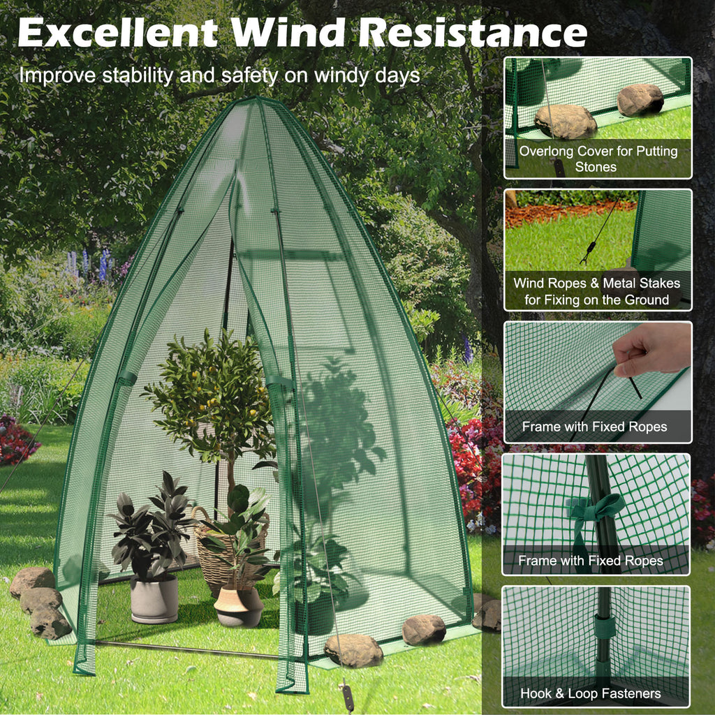 Mini Hexagonal Greenhouse 5.5ft - Portable Garden with PE Cover