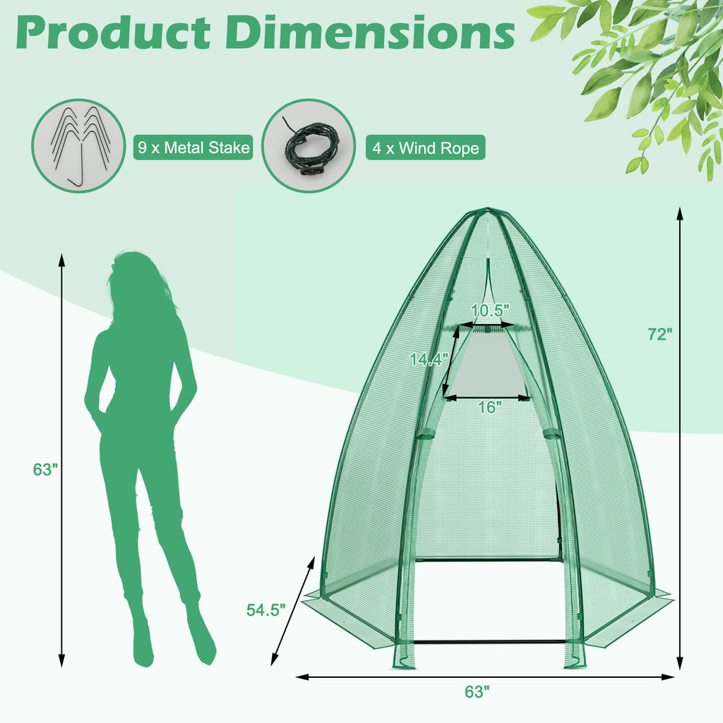 Mini Hexagonal Greenhouse 5.5ft - Portable Garden with PE Cover