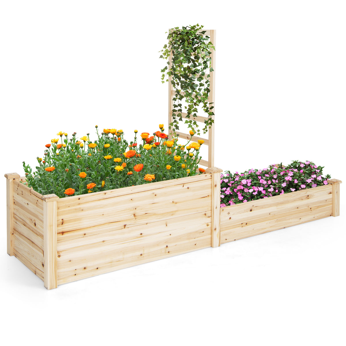 Raised Garden Bed with Planter Box and Trellis