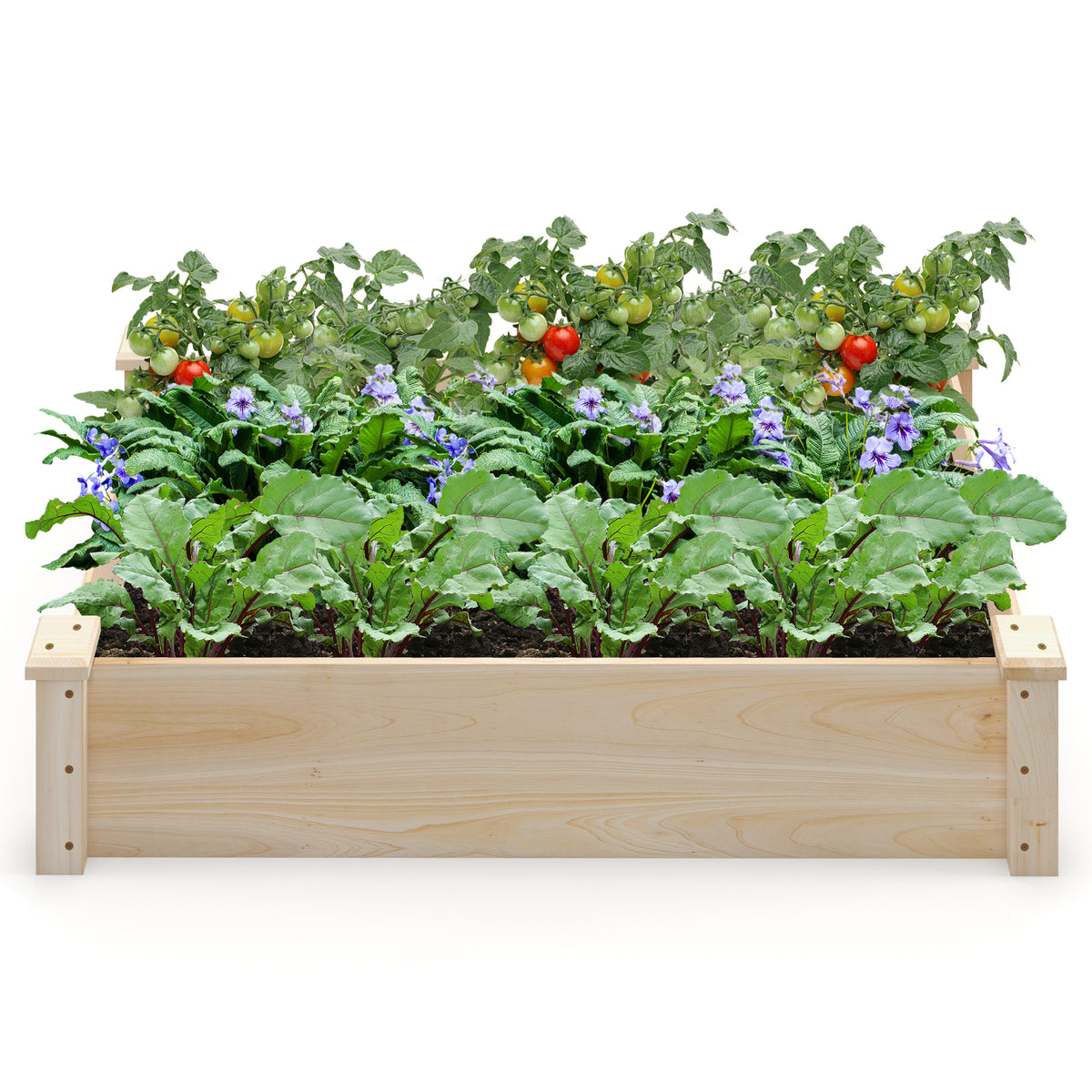 Raised Garden Bed Fir Wood Wooden Square Planter Box