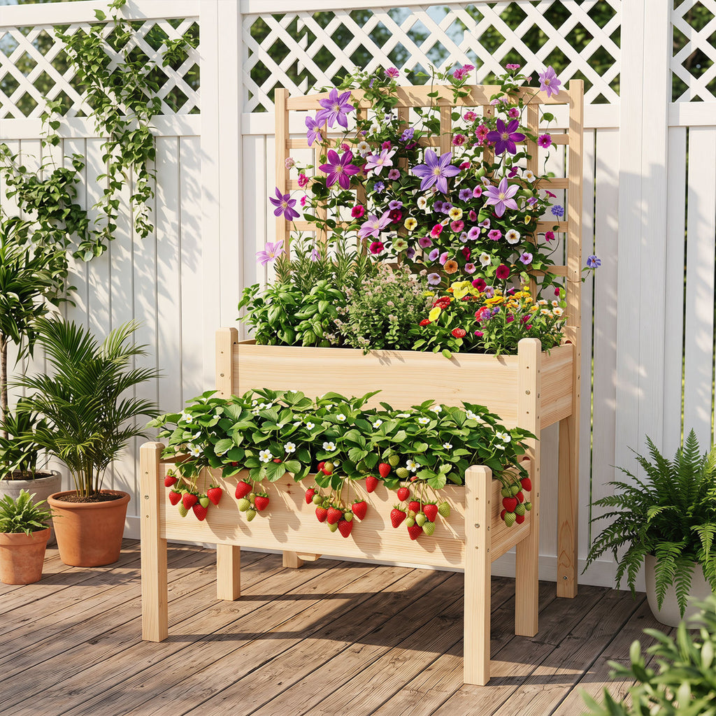 Raised Garden Bed with Trellis 2-Tier for Outdoor Climbing Plants