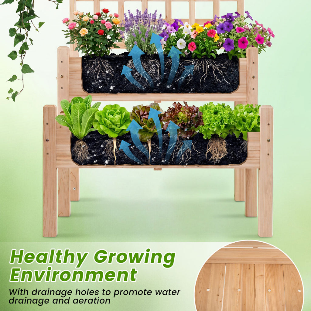 Raised Garden Bed with Trellis 2-Tier for Outdoor Climbing Plants