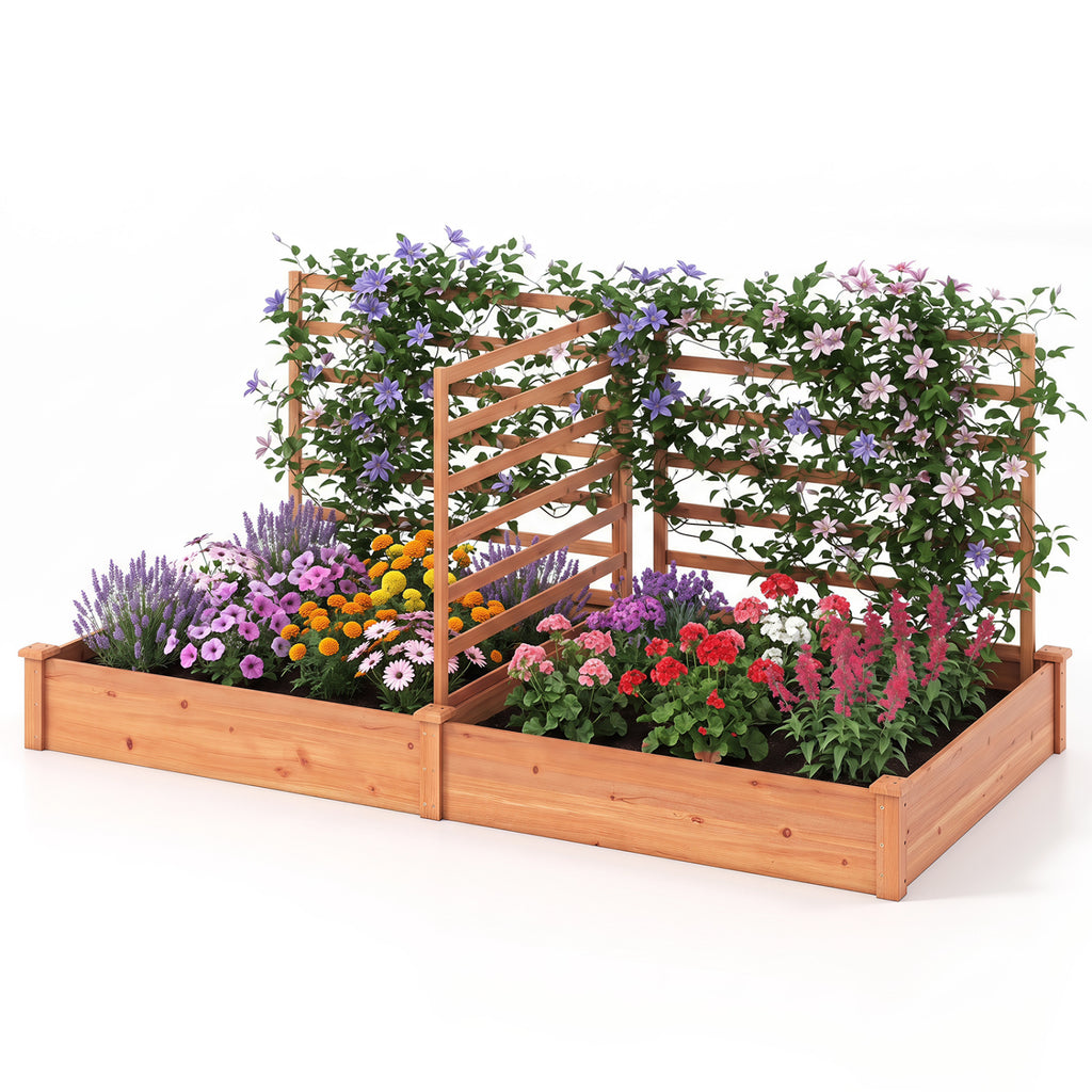 Raised Garden Bed with 2 Planter Boxes and 3 Trellis