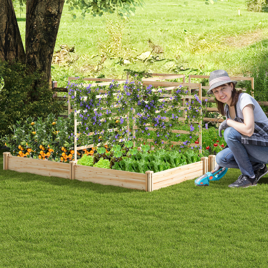 Raised Garden Bed with 2 Planter Boxes and 3 Trellis