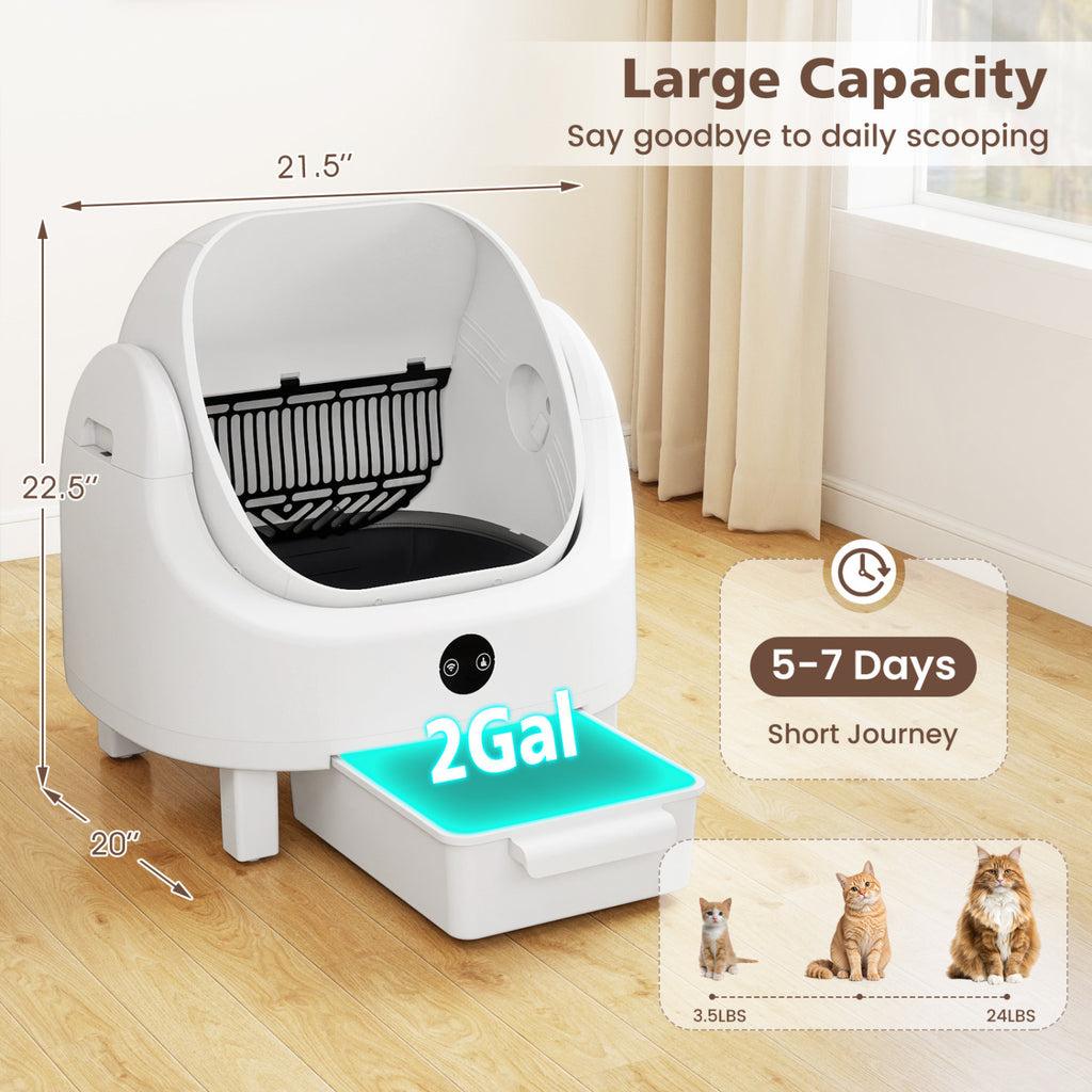 Self-Cleaning Open-Top Cat Litter Box with App Control, Odor Control & Safety Sensors