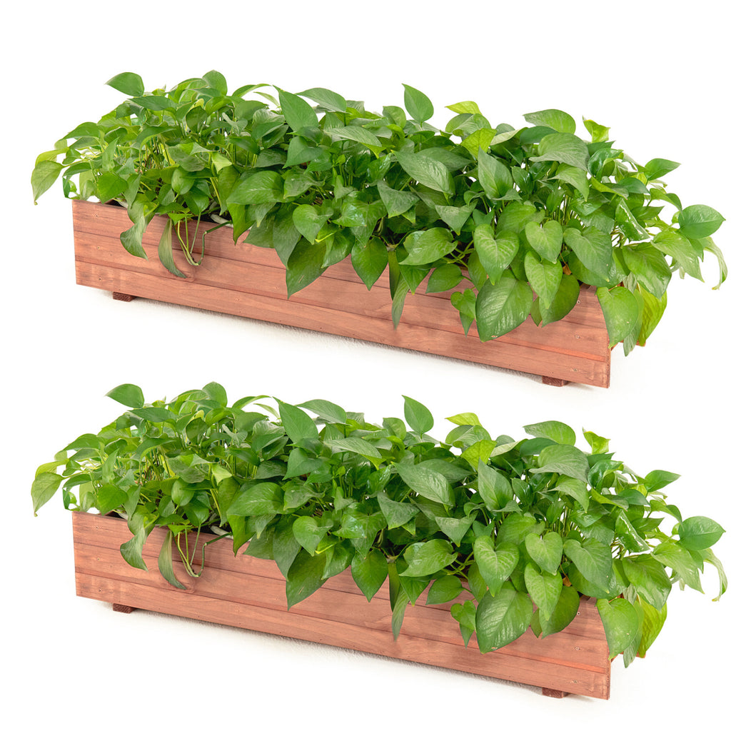 Wooden Raised Garden Bed - 1 Piece