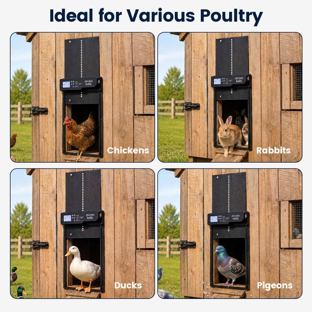 Solar Powered Automatic Chicken Coop Door - Anti-Pinch, Light & Time Modes, USB & Solar Charging