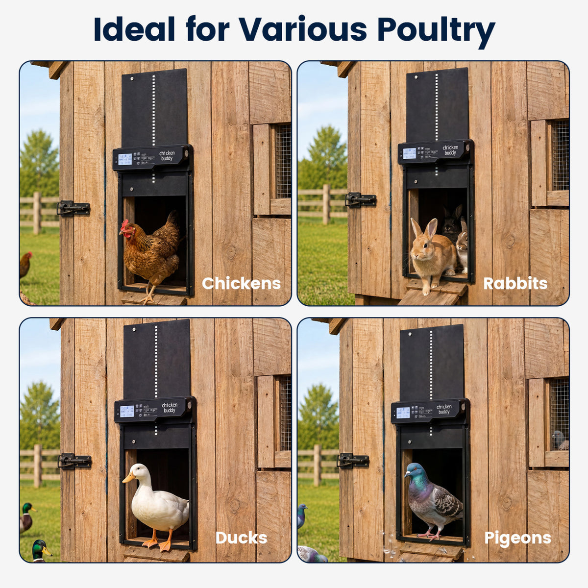 Solar Powered Automatic Chicken Coop Door - Anti-Pinch, Light & Time Modes, USB & Solar Charging
