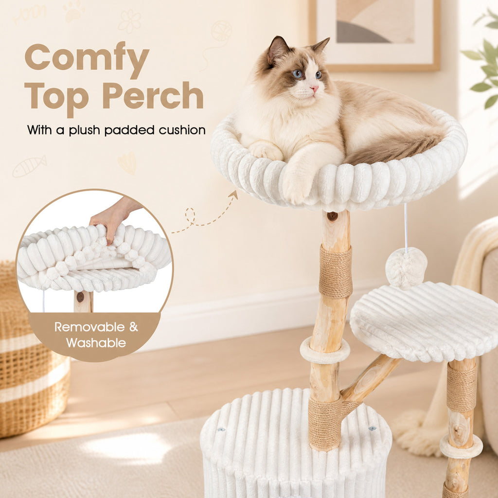 Beige Solid Wood Cat Tree 41 Inch with Real Branches, Scratching Posts & Cozy Bed
