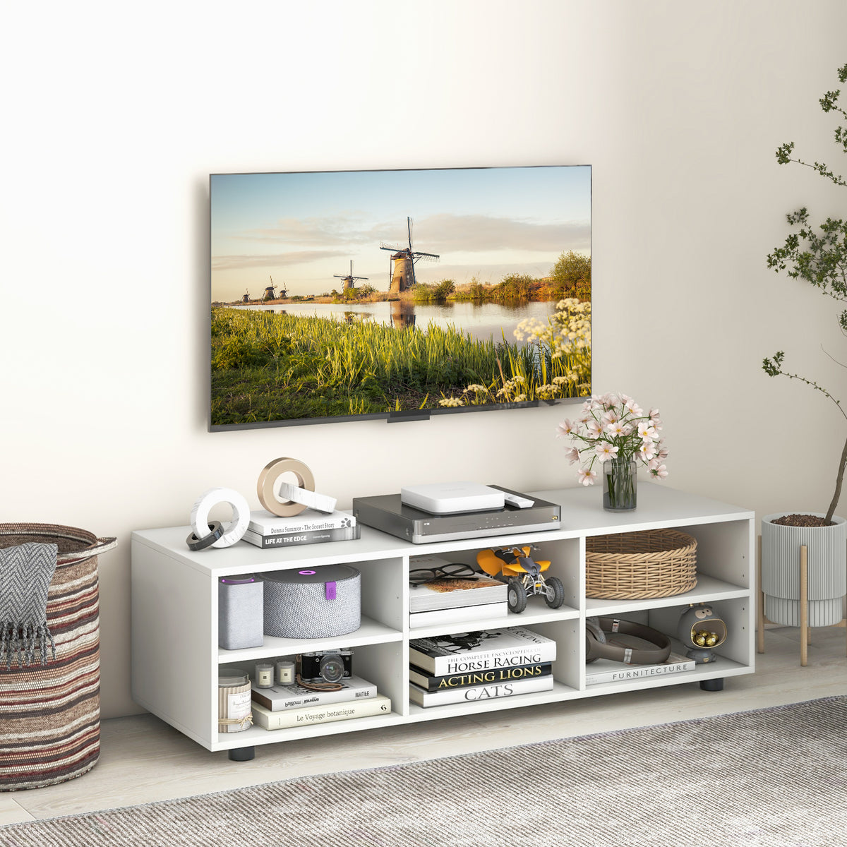 55 Inch TV Stand with 6 Storage Compartments - White