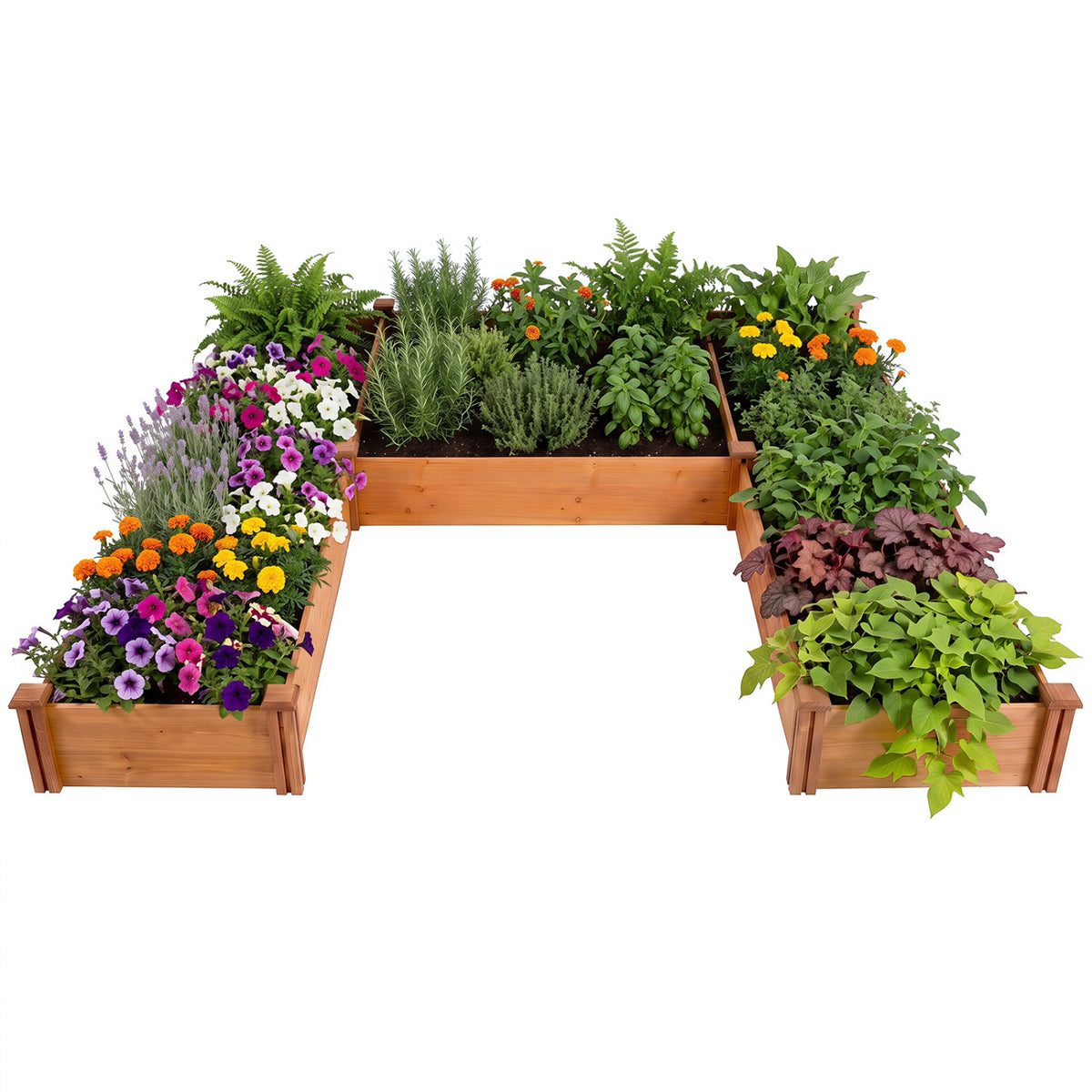 U-Shaped Wooden Raised Garden Bed - Orange