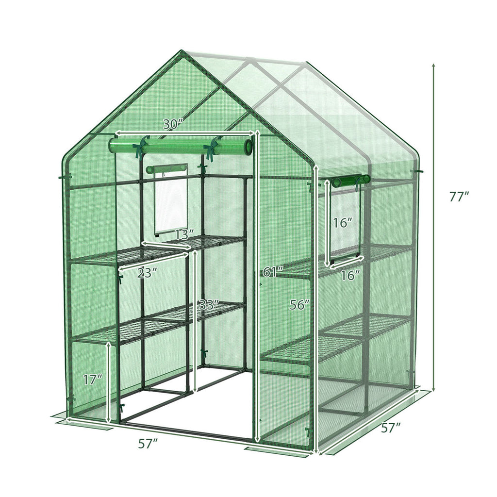 56 x 77 Inch Walk-in Greenhouse with Observation Windows