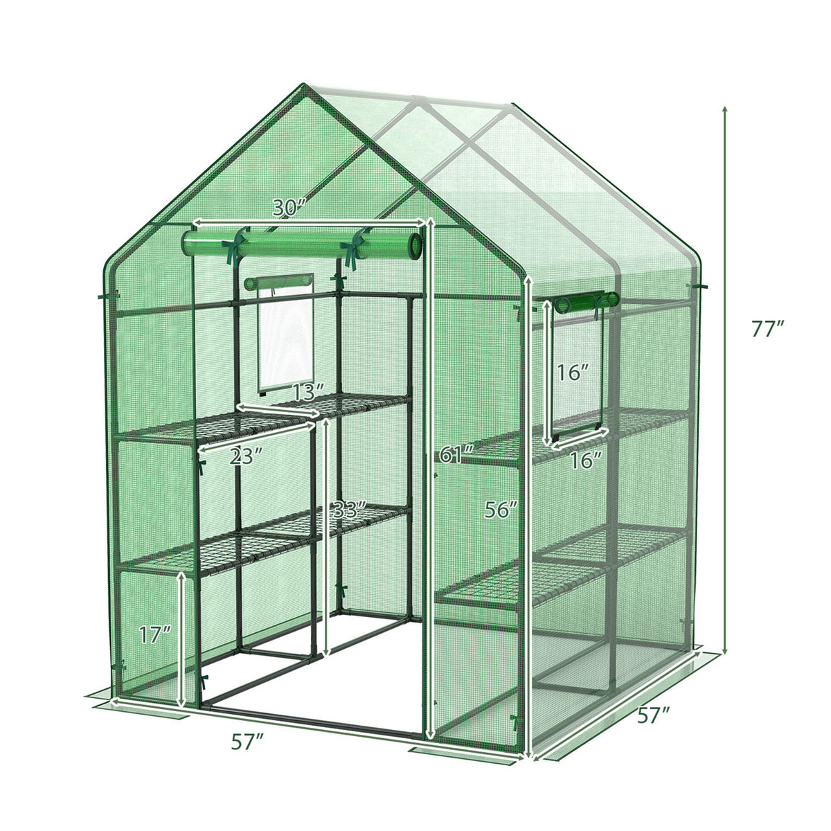 56 x 77 Inch Walk-in Greenhouse with Observation Windows