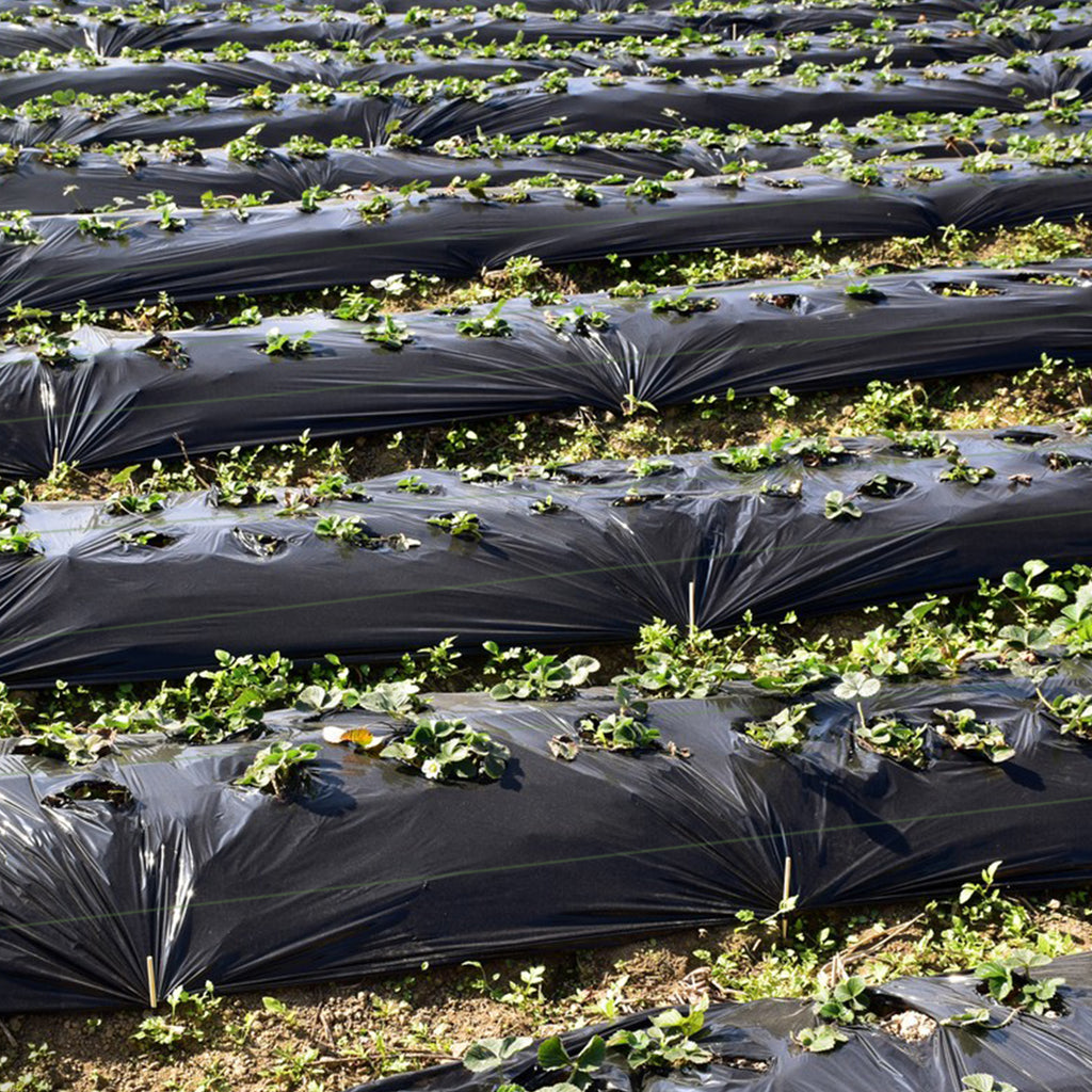 4 ft Weed Barrier Landscape Fabric - Tear-Resistant