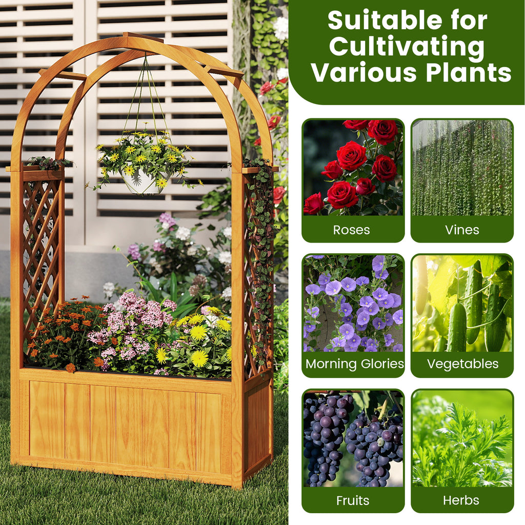 Wooden Raised Garden Bed with Lattice Trellis and Arched Roof