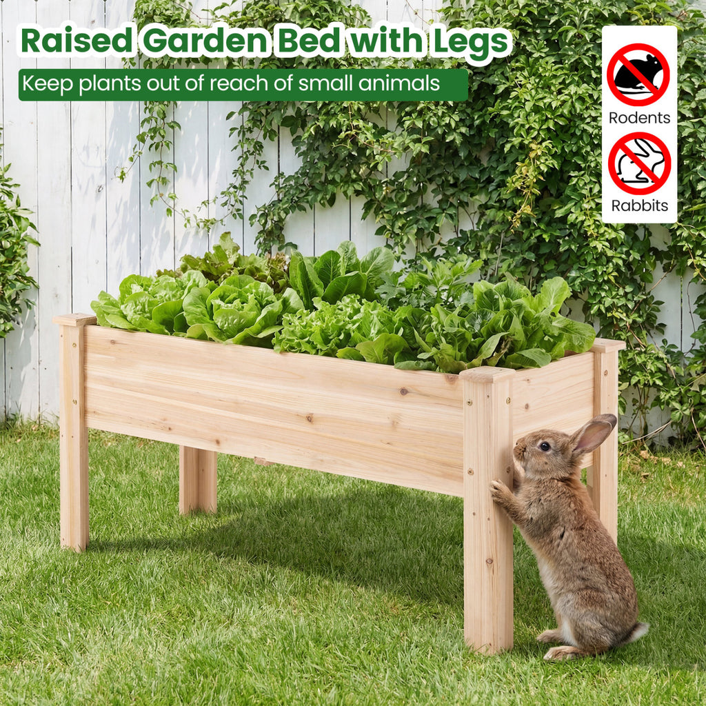 Wooden Raised Garden Bed with Legs - 47" x 18" x 20"