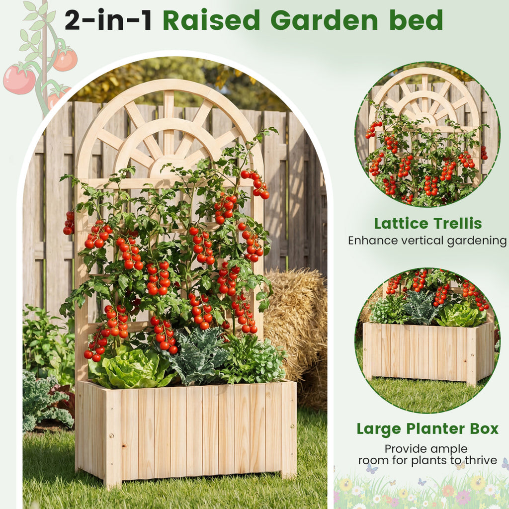 Wooden Raised Garden Bed with Trellis 48 Inch Natural