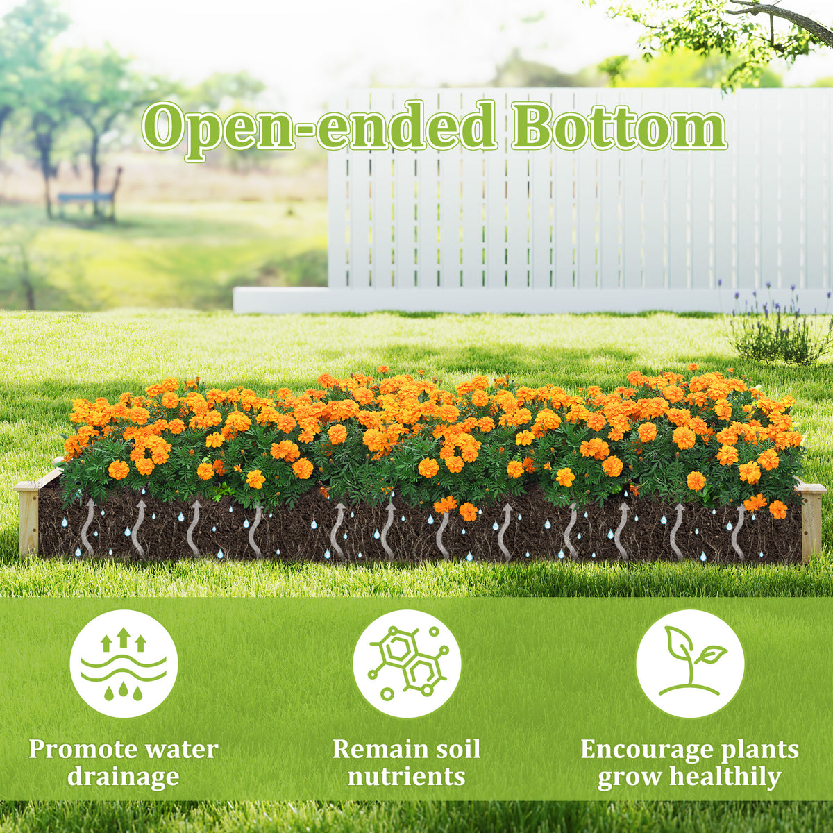 Wooden Raised Garden Bed with 2 Planter Boxes and Dividers