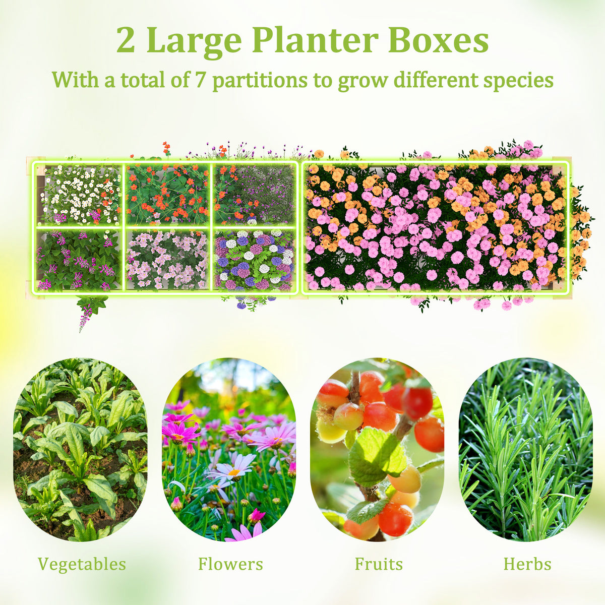 Wooden Raised Garden Bed with 2 Planter Boxes and Dividers