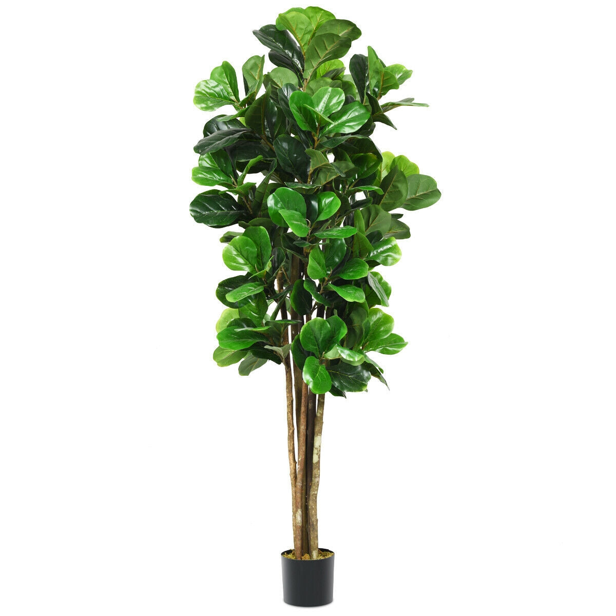 Artificial Indoor-Outdoor Fiddle Leaf Fig Tree - 71 Inch with Realistic Trunks and Leaves