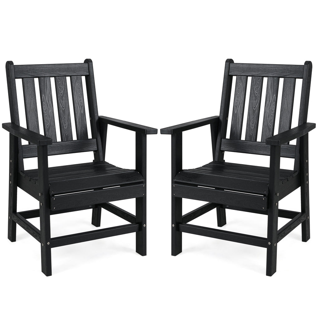 Patio Dining Chairs Set of 2 - Black with Wide Armrests