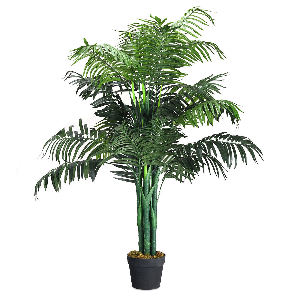 Artificial Areca Palm Tree with Basket - 3.5 Feet Décor Plant for Home & Office
