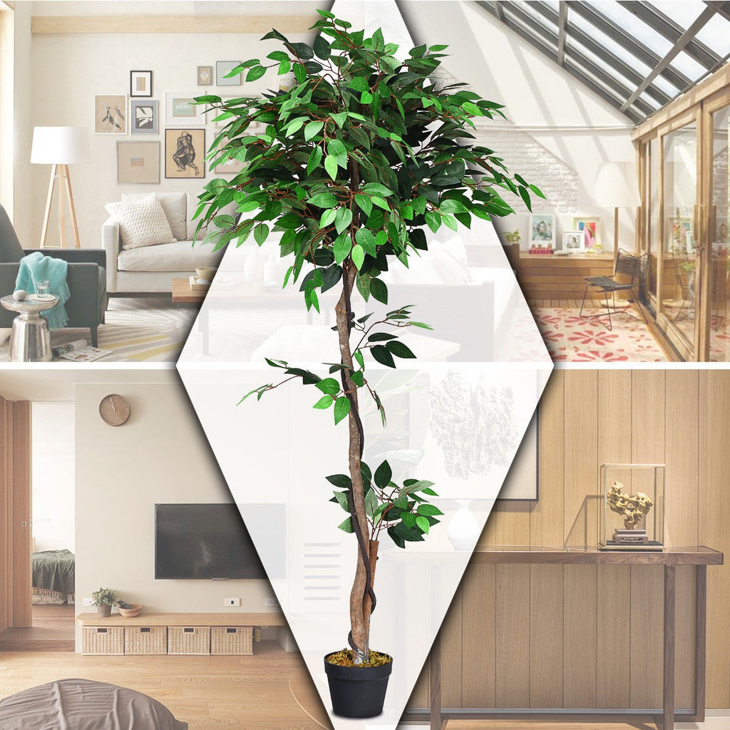 Artificial Ficus Tree - 5.5 Feet Tall with Realistic Leaves & Wood Trunks