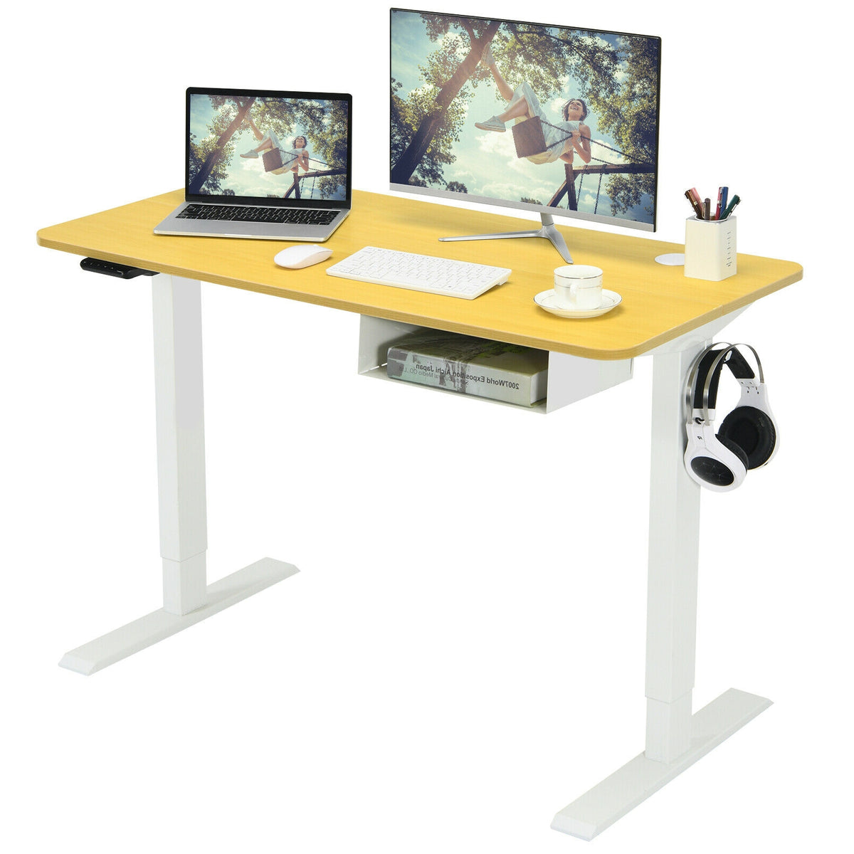 48-Inch Electric Standing Adjustable Desk with Control Panel and USB