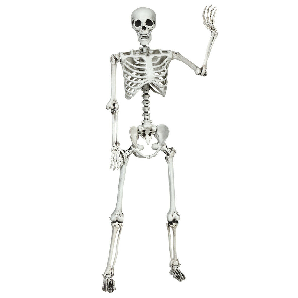 5.4 Feet Life Size Realistic Skeleton Halloween Decoration - Full Body Hanging Model