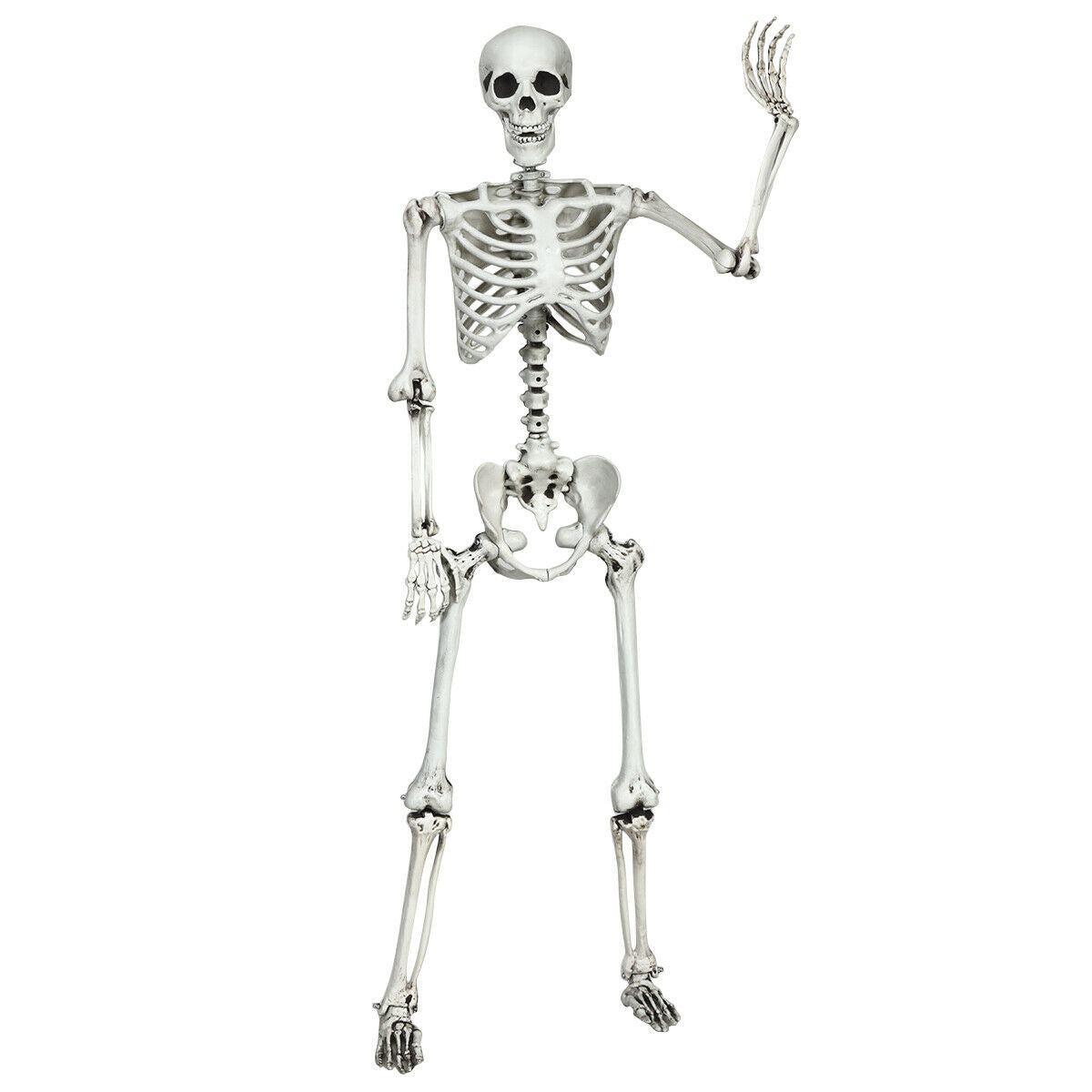 5.4 Feet Life Size Realistic Skeleton Halloween Decoration - Full Body Hanging Model