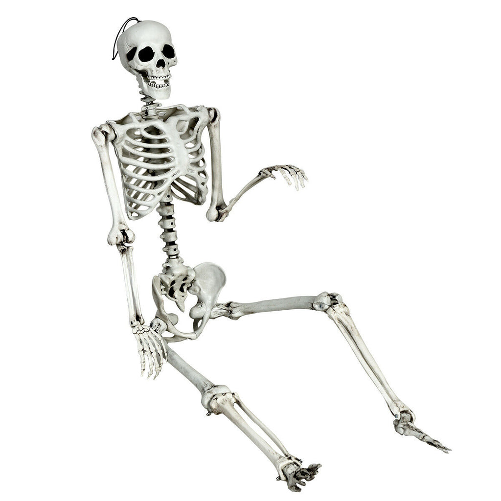 5.4 Feet Life Size Realistic Skeleton Halloween Decoration - Full Body Hanging Model