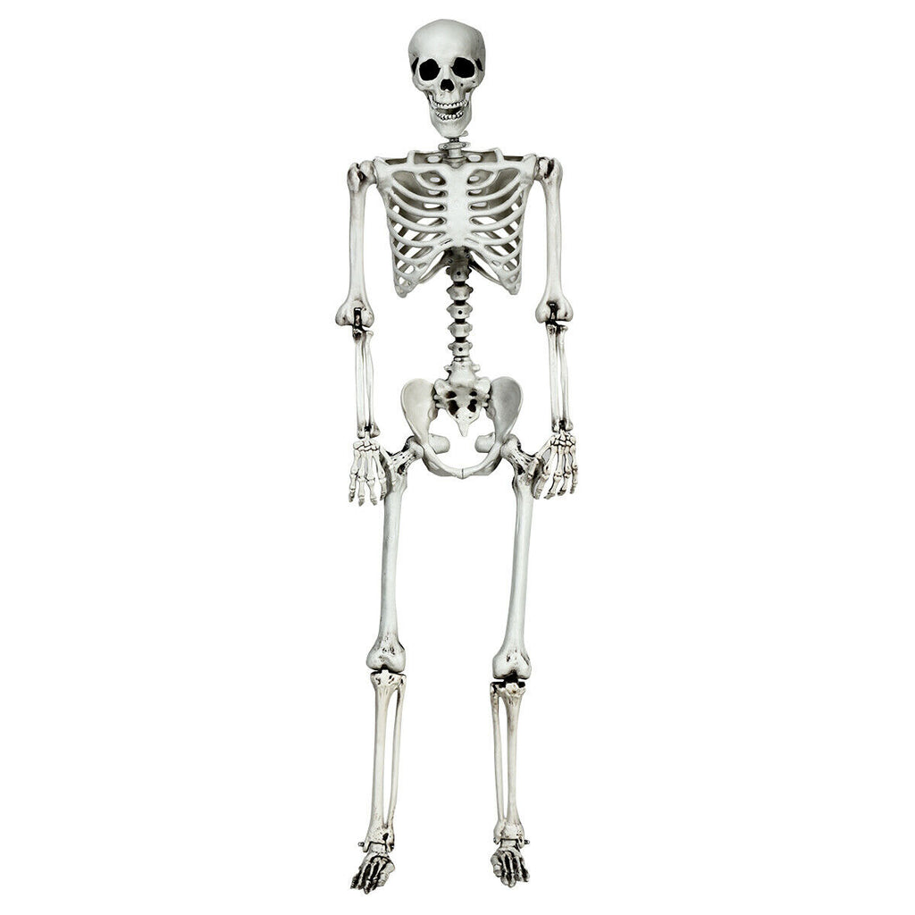 5.4 Feet Life Size Realistic Skeleton Halloween Decoration - Full Body Hanging Model