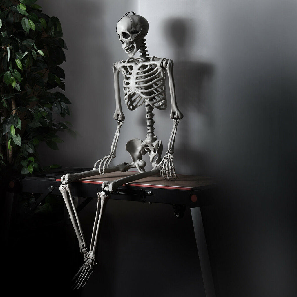 5.4 Feet Life Size Realistic Skeleton Halloween Decoration - Full Body Hanging Model