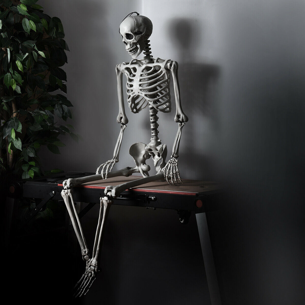 5.4 Feet Life Size Realistic Skeleton Halloween Decoration - Full Body Hanging Model
