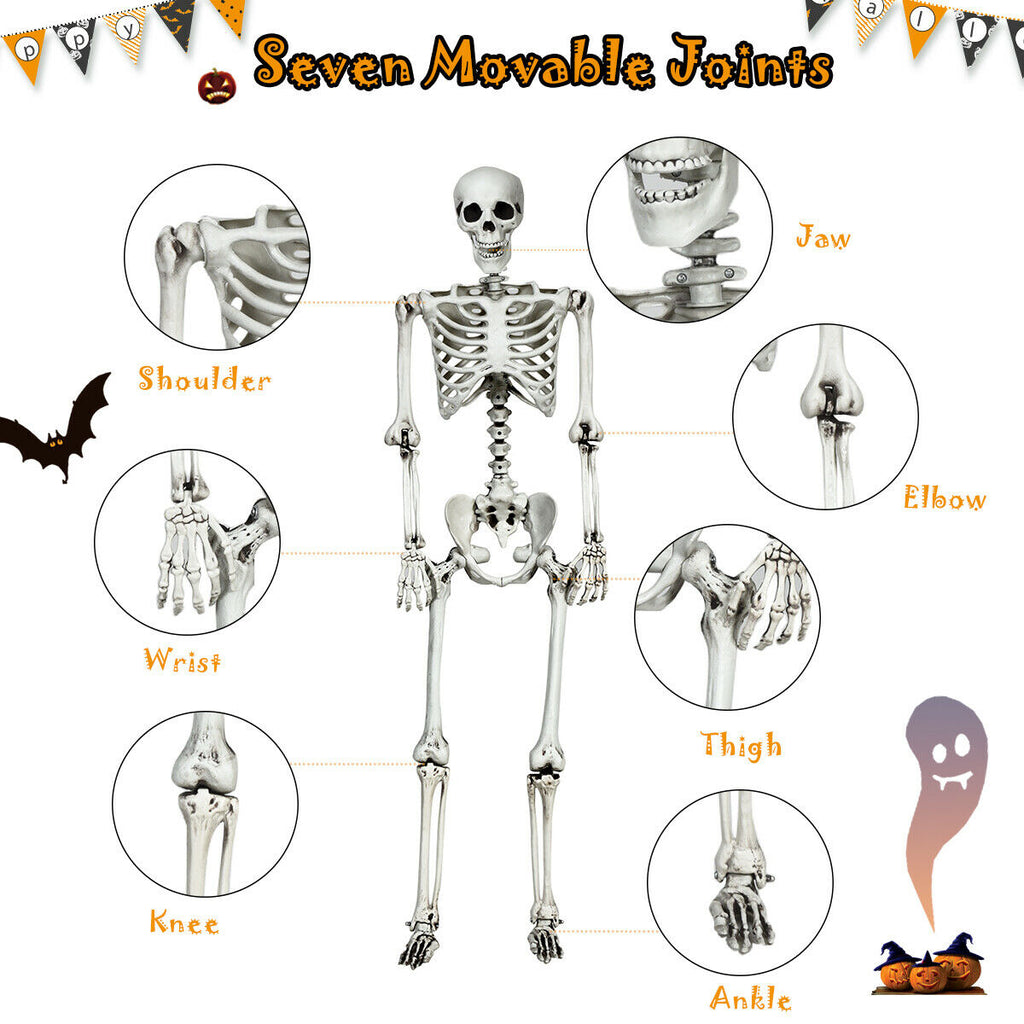 5.4 Feet Life Size Realistic Skeleton Halloween Decoration - Full Body Hanging Model