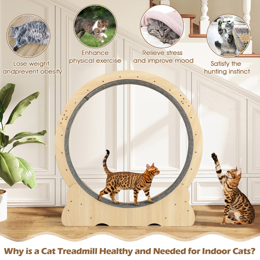 Natural 40 Inch Large Cat Exercise Wheel with Lockable Mechanism and Carpeted Runway