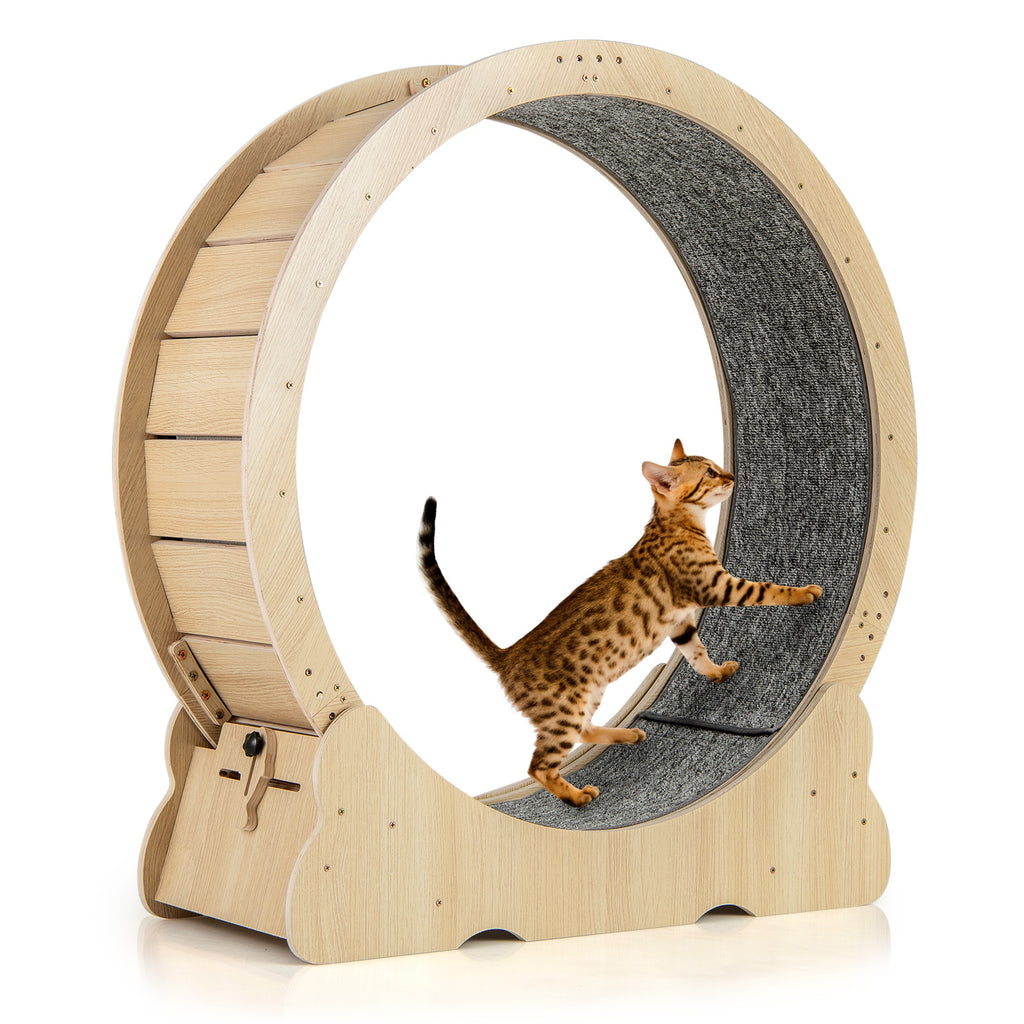 Natural 40 Inch Large Cat Exercise Wheel with Lockable Mechanism and Carpeted Runway