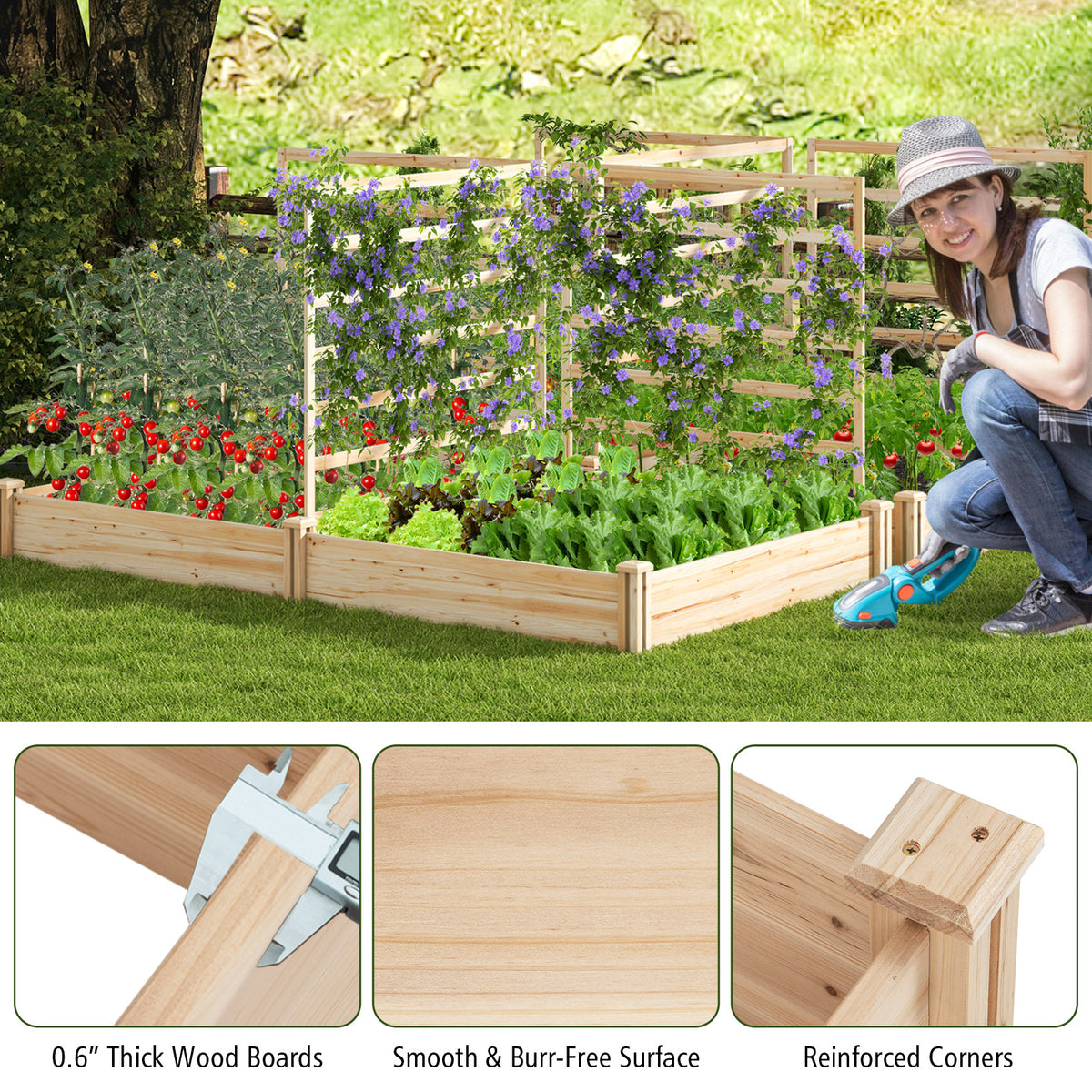 Raised Garden Bed with 2 Planter Boxes and 3 Trellis