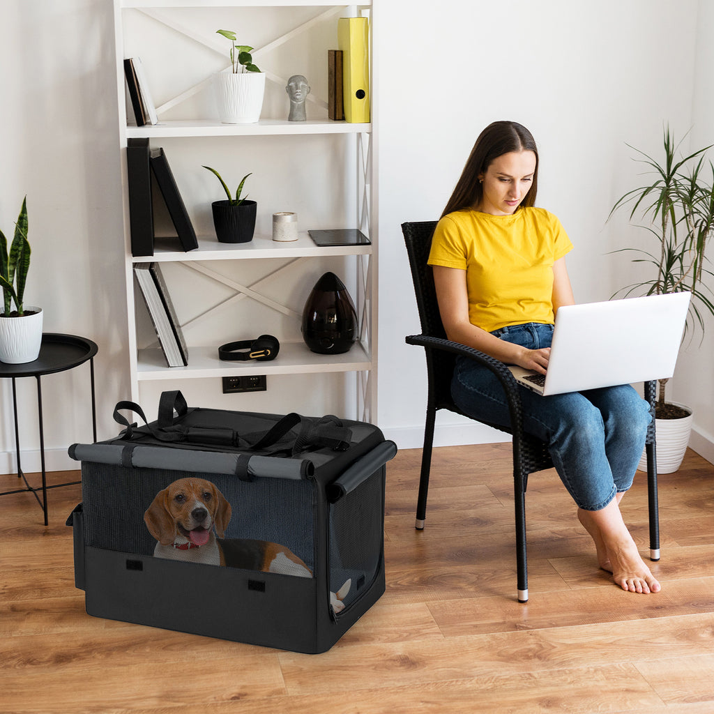 Foldable Pet Carrying Bag with Mesh Openings and Cushions - S Variation