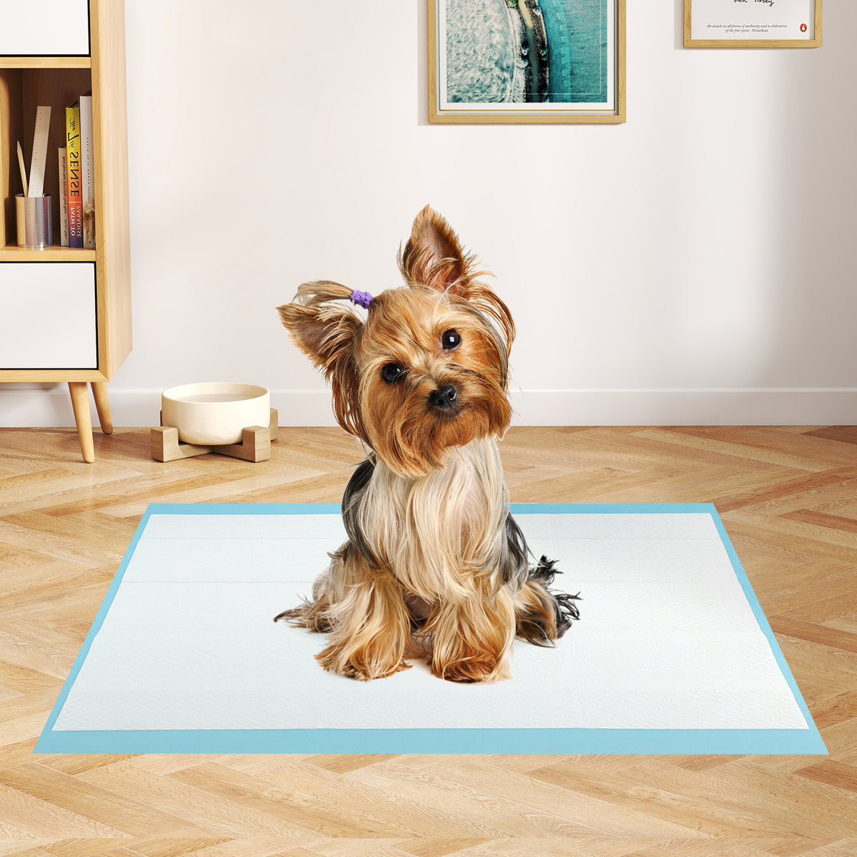 Dog and Puppy Pee Pads 24x17 Inches, 300 Count, Blue - Leakproof Potty Training Sheets with 5-Layer Absorption