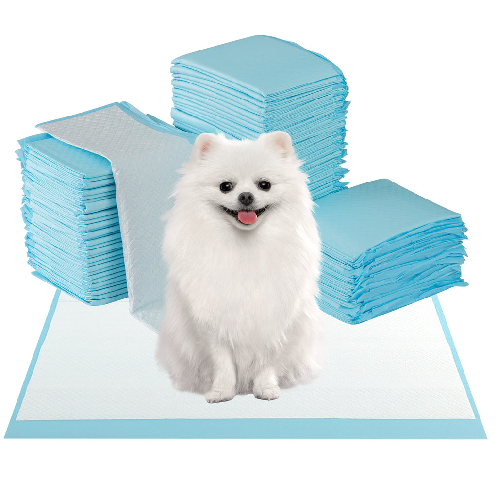 Dog and Puppy Pee Pads 24x17 Inches, 300 Count, Blue - Leakproof Potty Training Sheets with 5-Layer Absorption