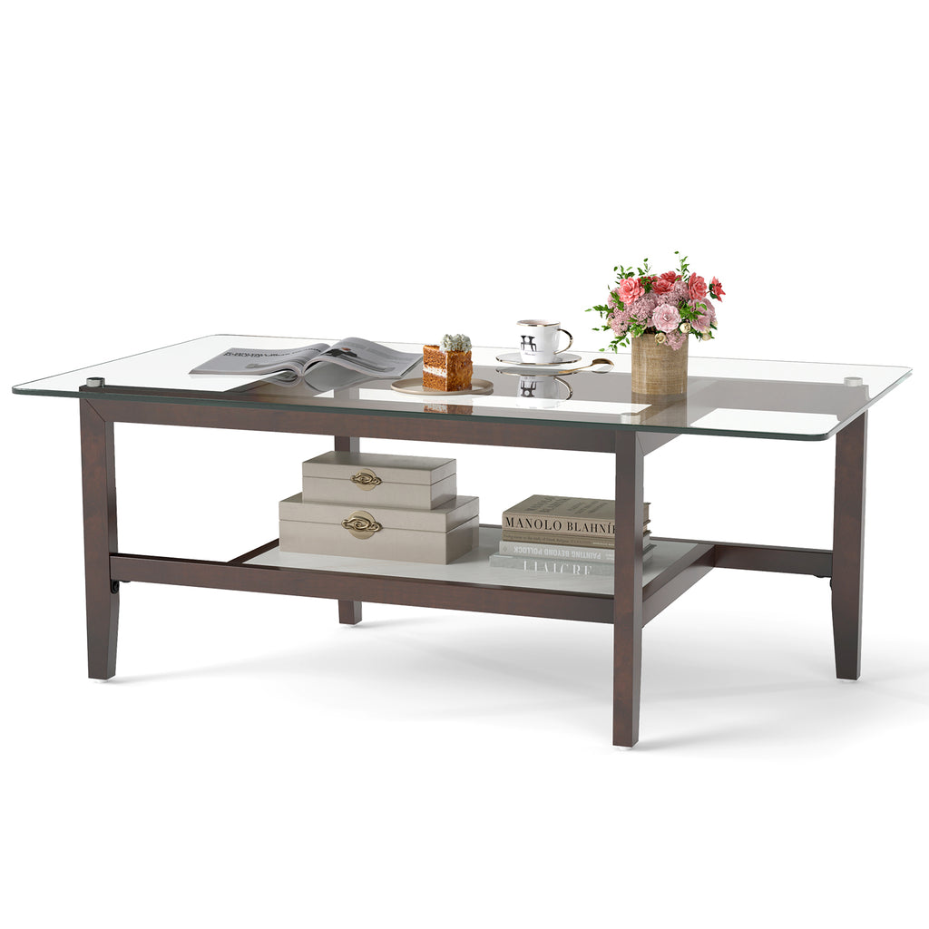 42 Inch Glass Coffee Table with Storage Shelf - Brown