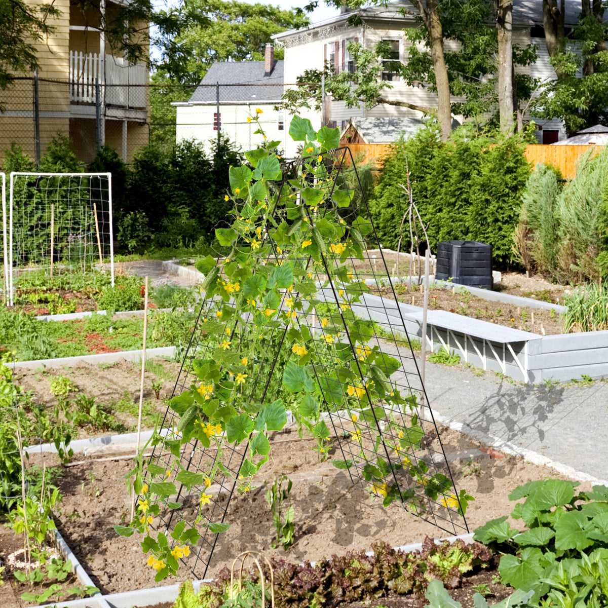 A-Frame Garden Trellis for Climbing Plant with Ground Stake and Cable