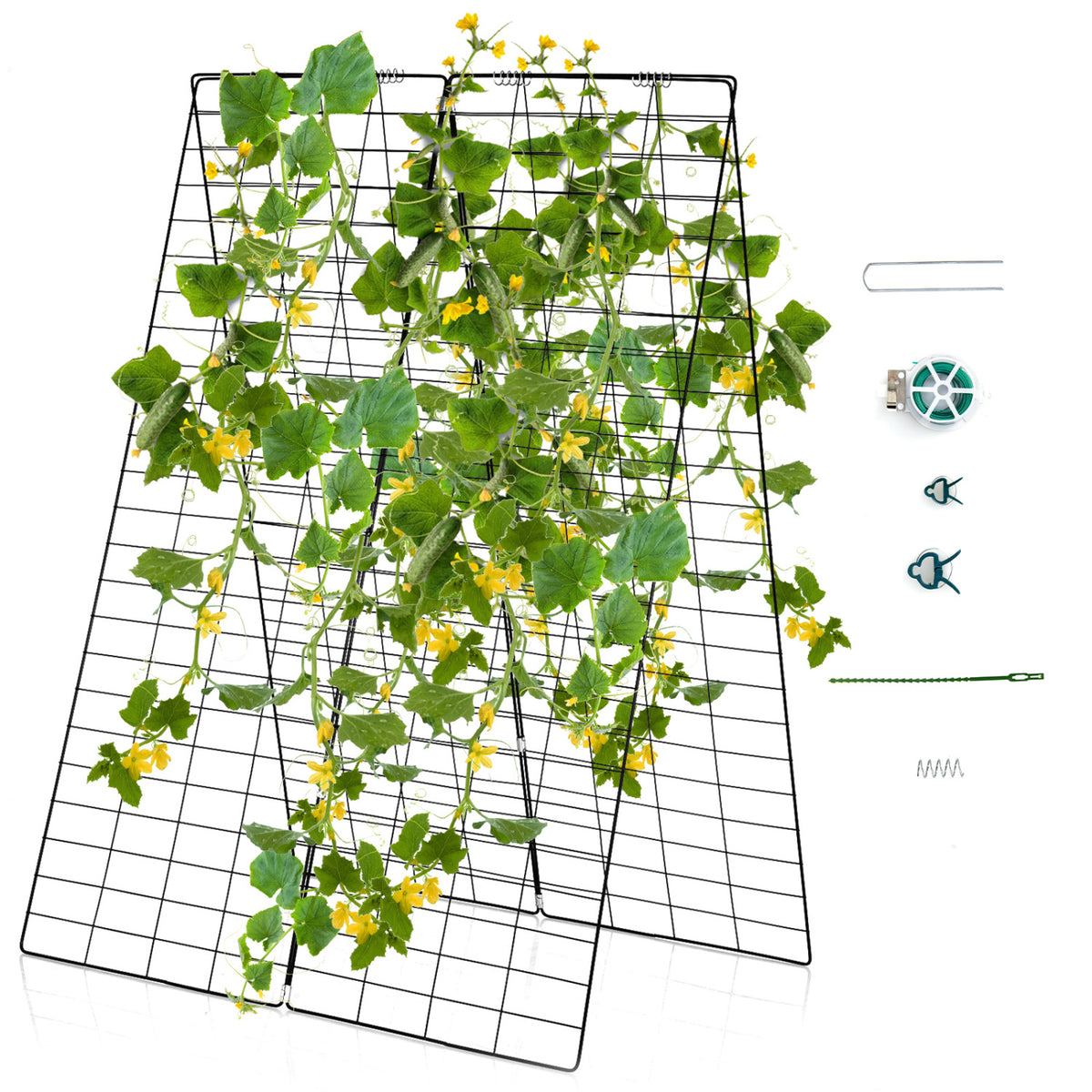 A-Frame Garden Trellis for Climbing Plant with Ground Stake and Cable