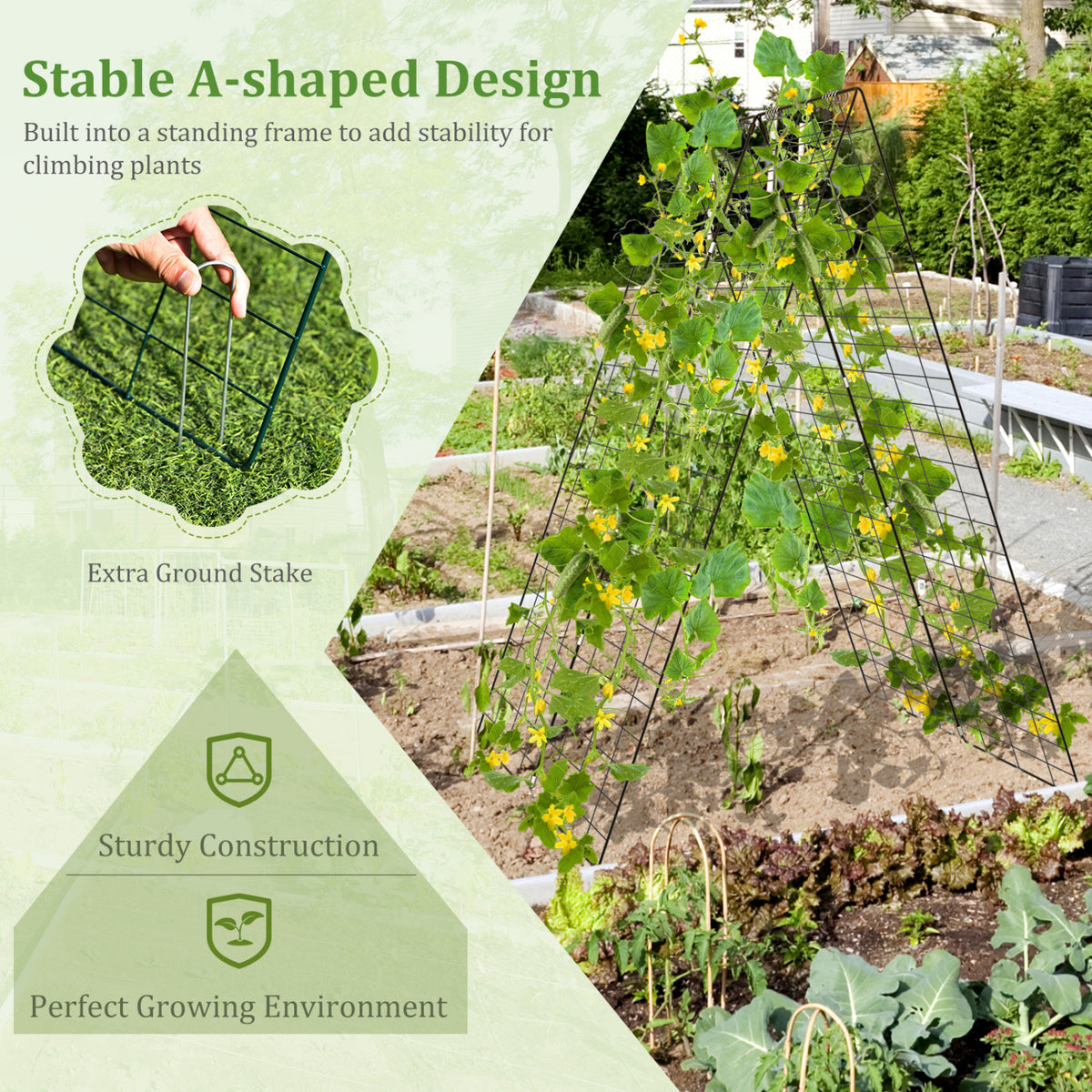 A-Frame Garden Trellis for Climbing Plant with Ground Stake and Cable