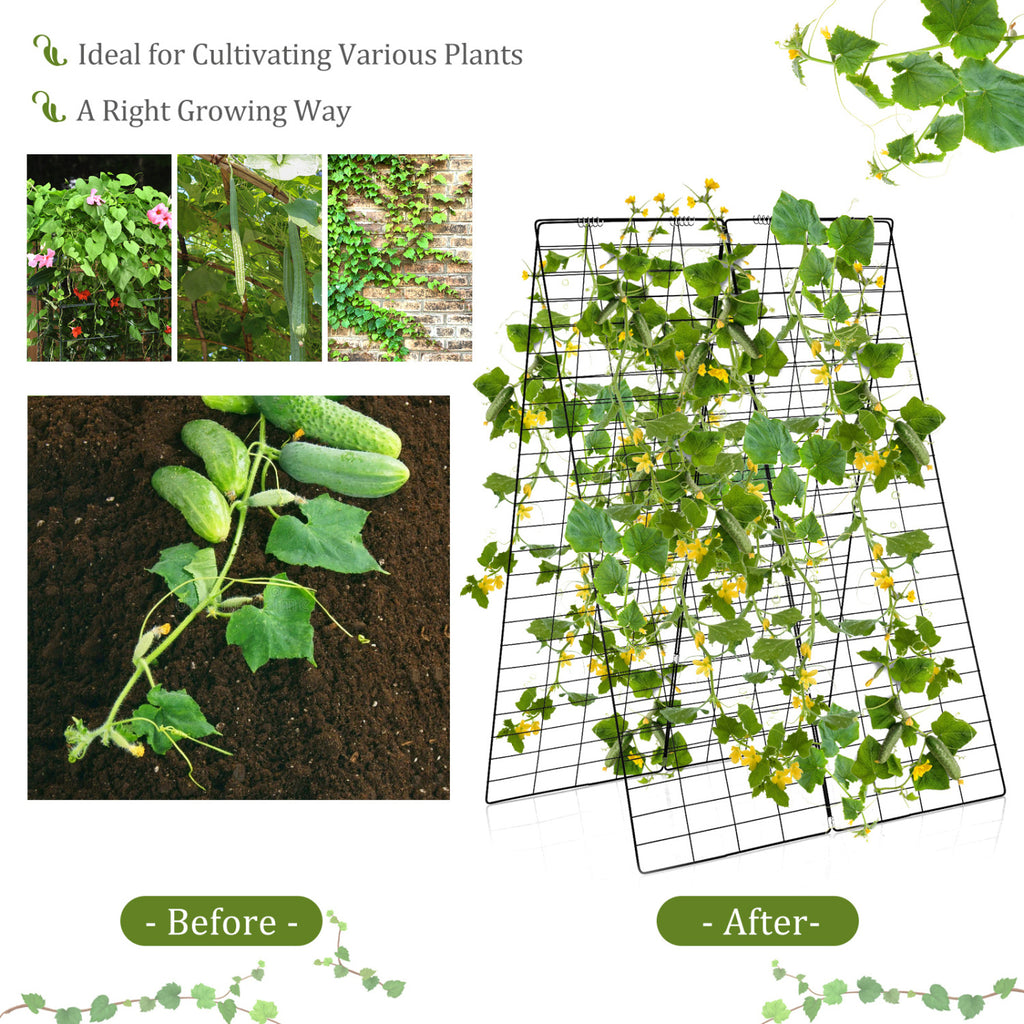 A-Frame Garden Trellis for Climbing Plant with Ground Stake and Cable